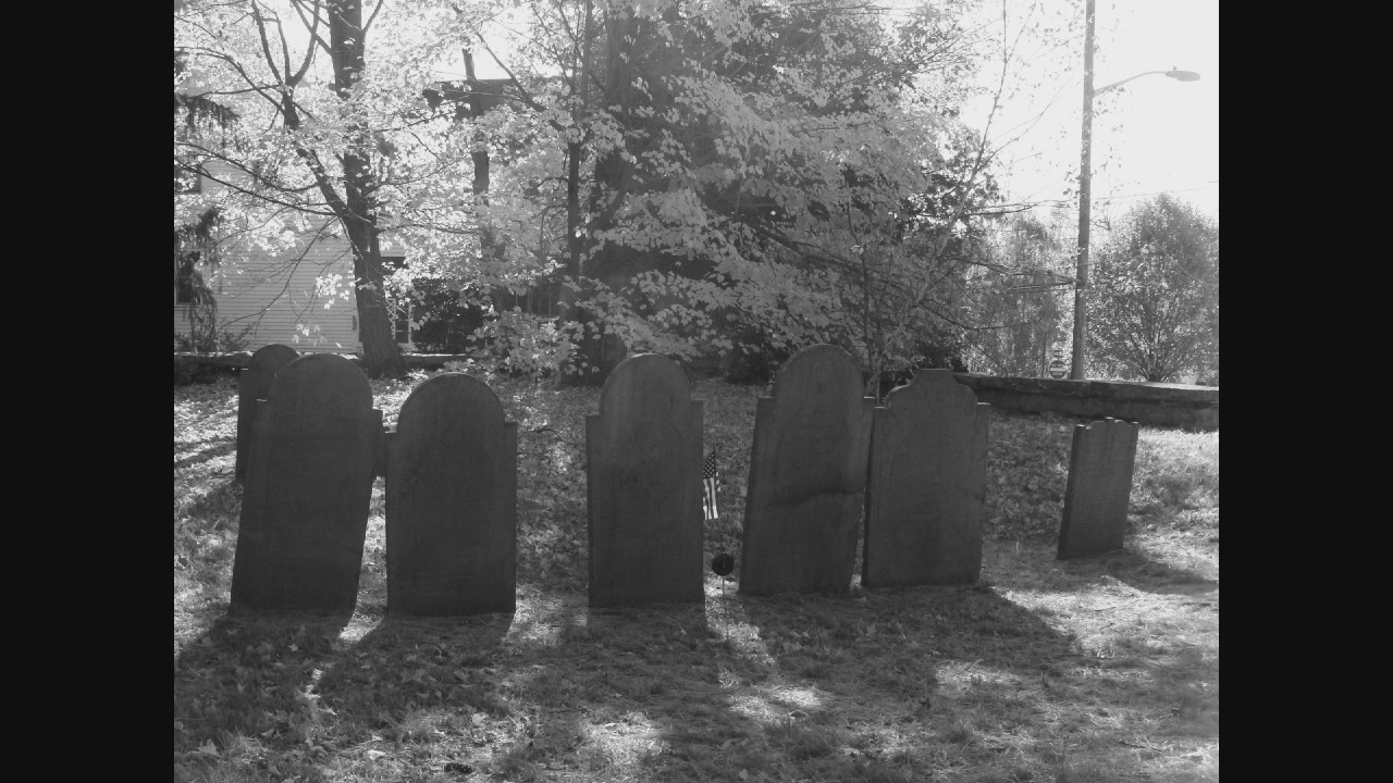 Thumbnail image for Tymelines: 4th of July, The Declaration of Independence & Freedom of Speech - July 2018