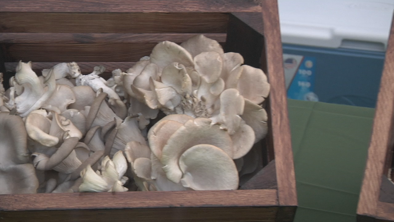 Thumbnail image for GC Newsflash: Groton Farmers Market - 2019 Season