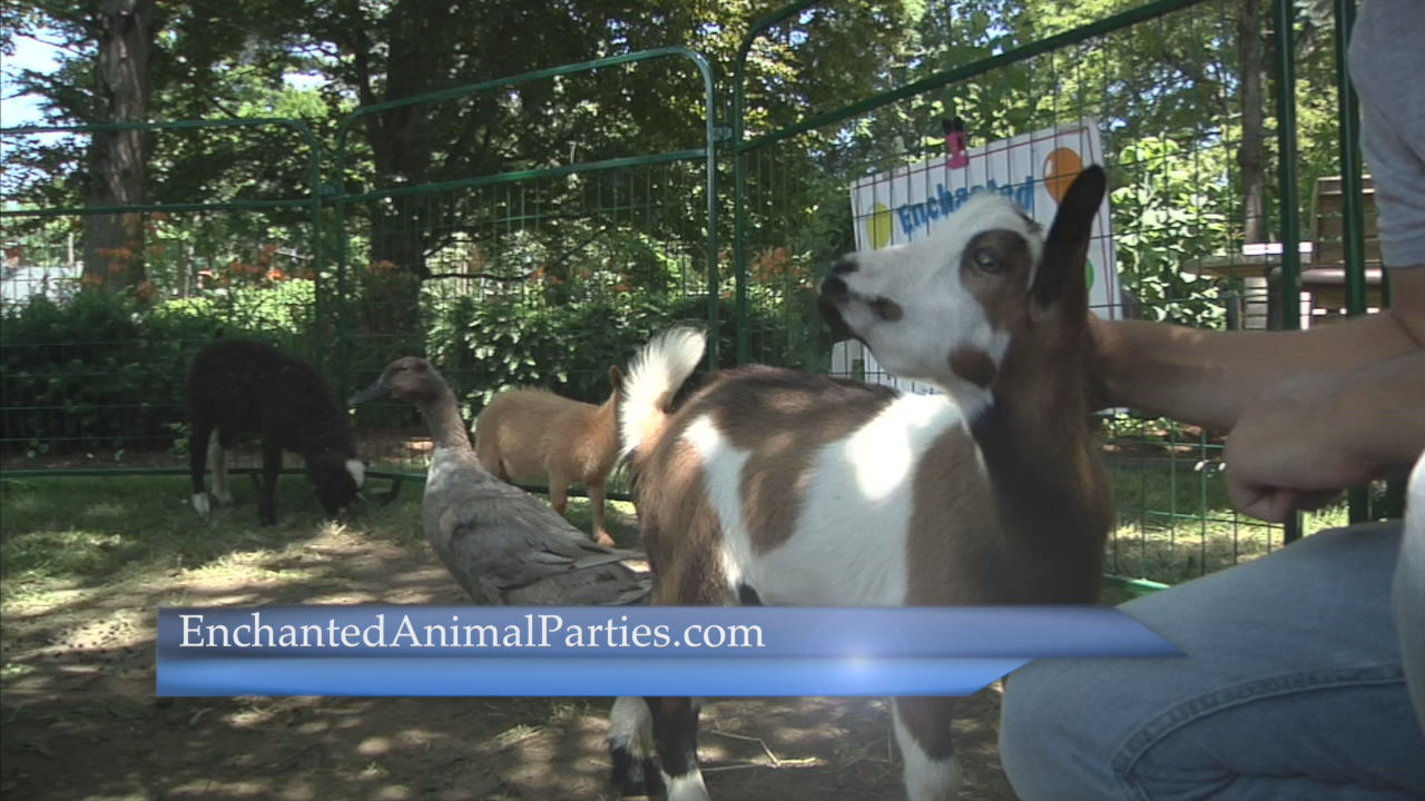 Thumbnail image for GC Newsflash: Enchanted Animal Parties at the Groton Public Library 7/10/19